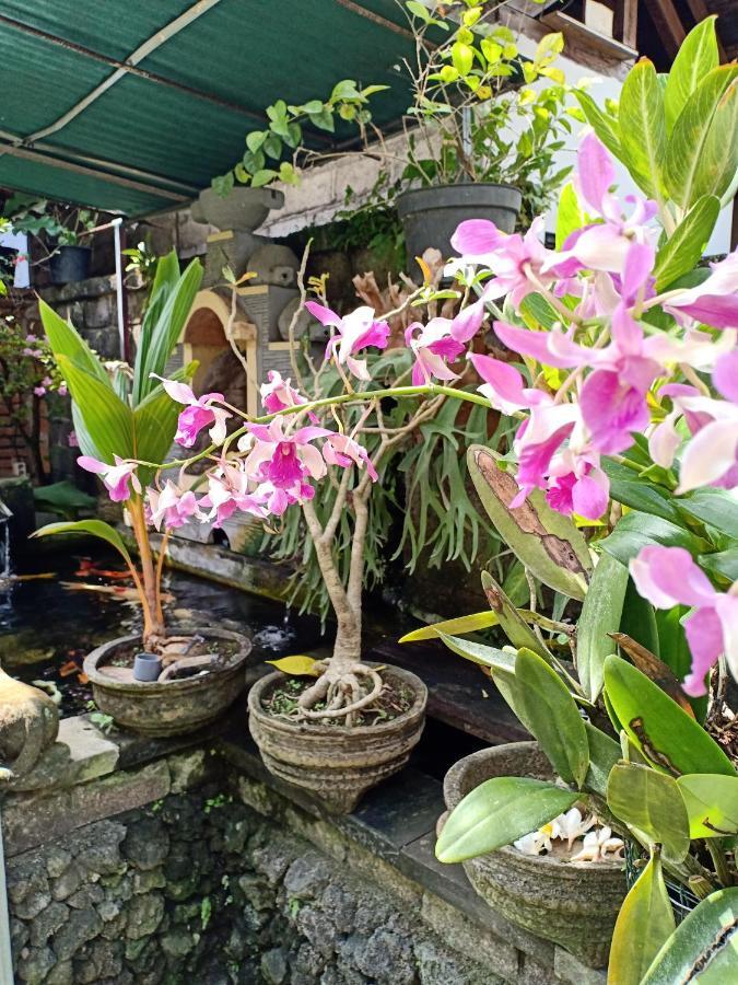 Degeg Ubud Homestay Екстер'єр фото